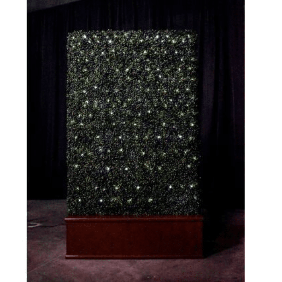 Double Sided Hedge Wall adorned with sparkling lights in yellow and white. The lights create a starry effect, set against a wooden base, conveying a mystical ambiance.