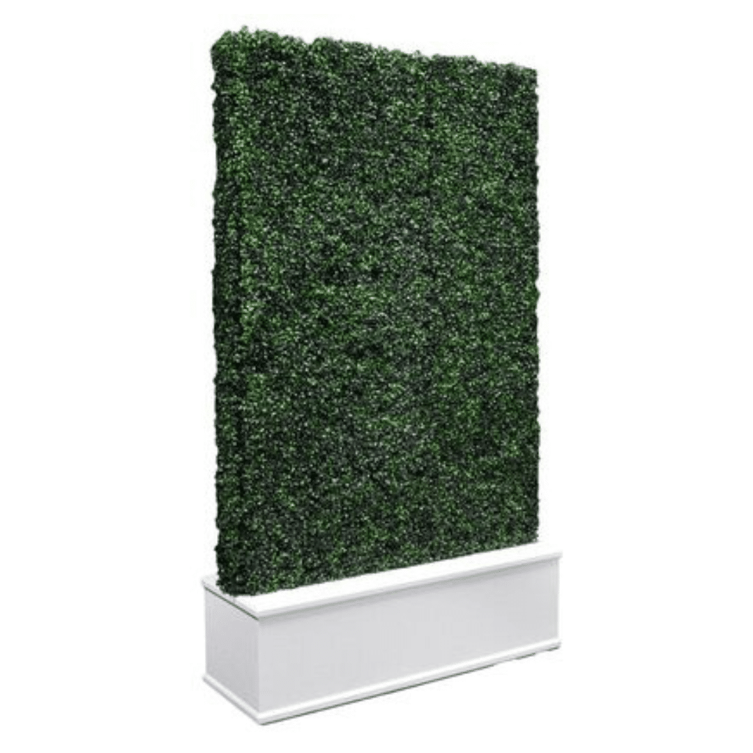 Hedge Wall Backdrop stands tall within a sleek white planter box. The lush, dense greenery is vibrant, offering a fresh, serene presence.