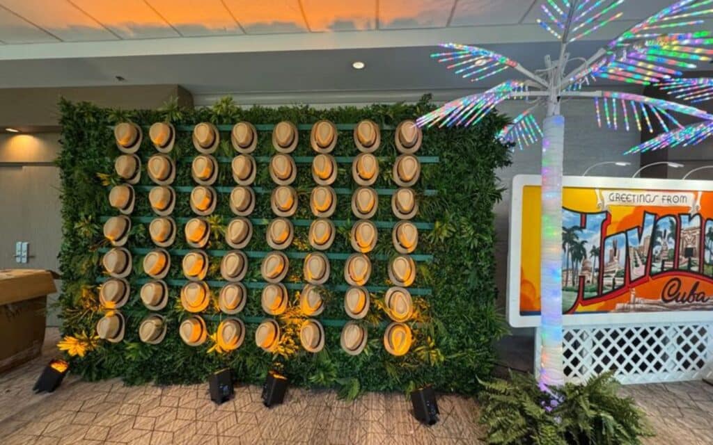 Peg Hat Wall and LED Palm Tree