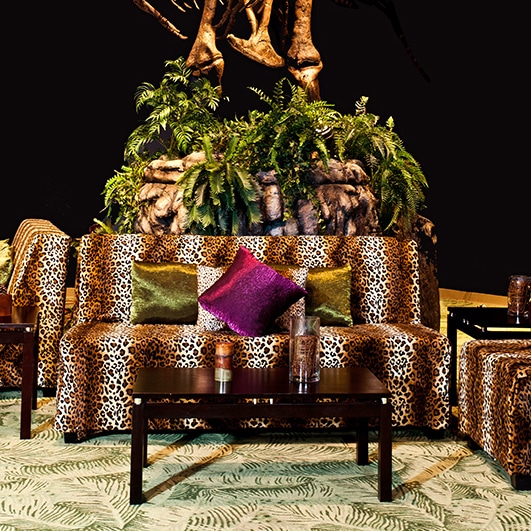 pillow rental near orlando